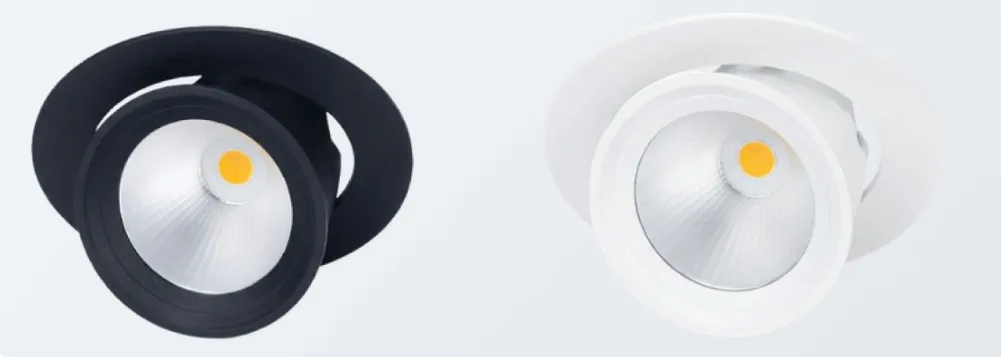 Lean DL — Downlight LED encastré orientable — Finitions noire et blanche — version 14–34 W illustrée, fiche technique, page 1