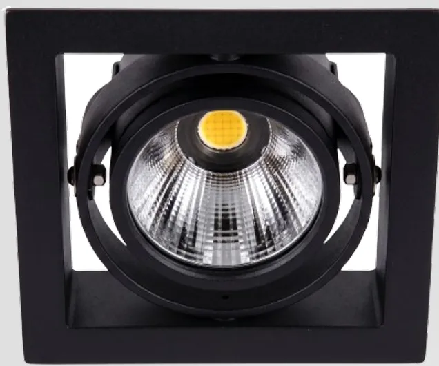 Casa Single DL — Downlight LED orientable