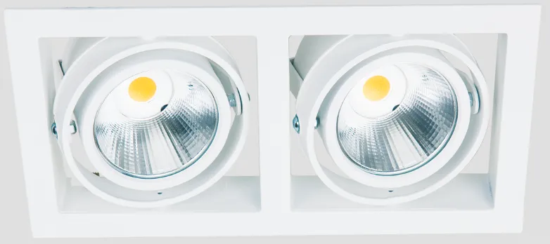Casa Duo DL - Downlight LED double orientable